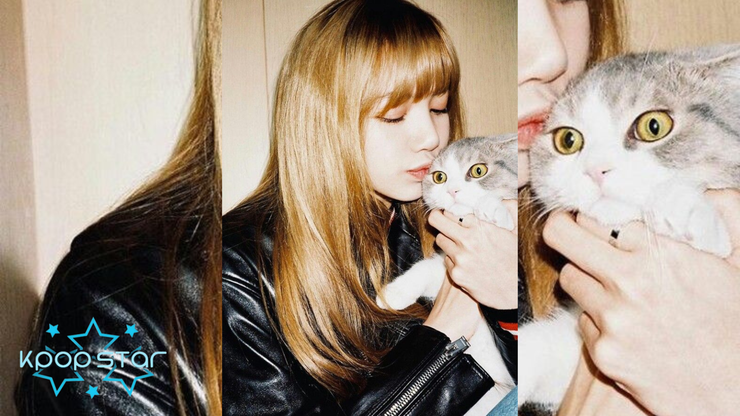 Lisa's Personal Life A Devoted Cat Lover Kpop Star News (Source: Pinterest.com)